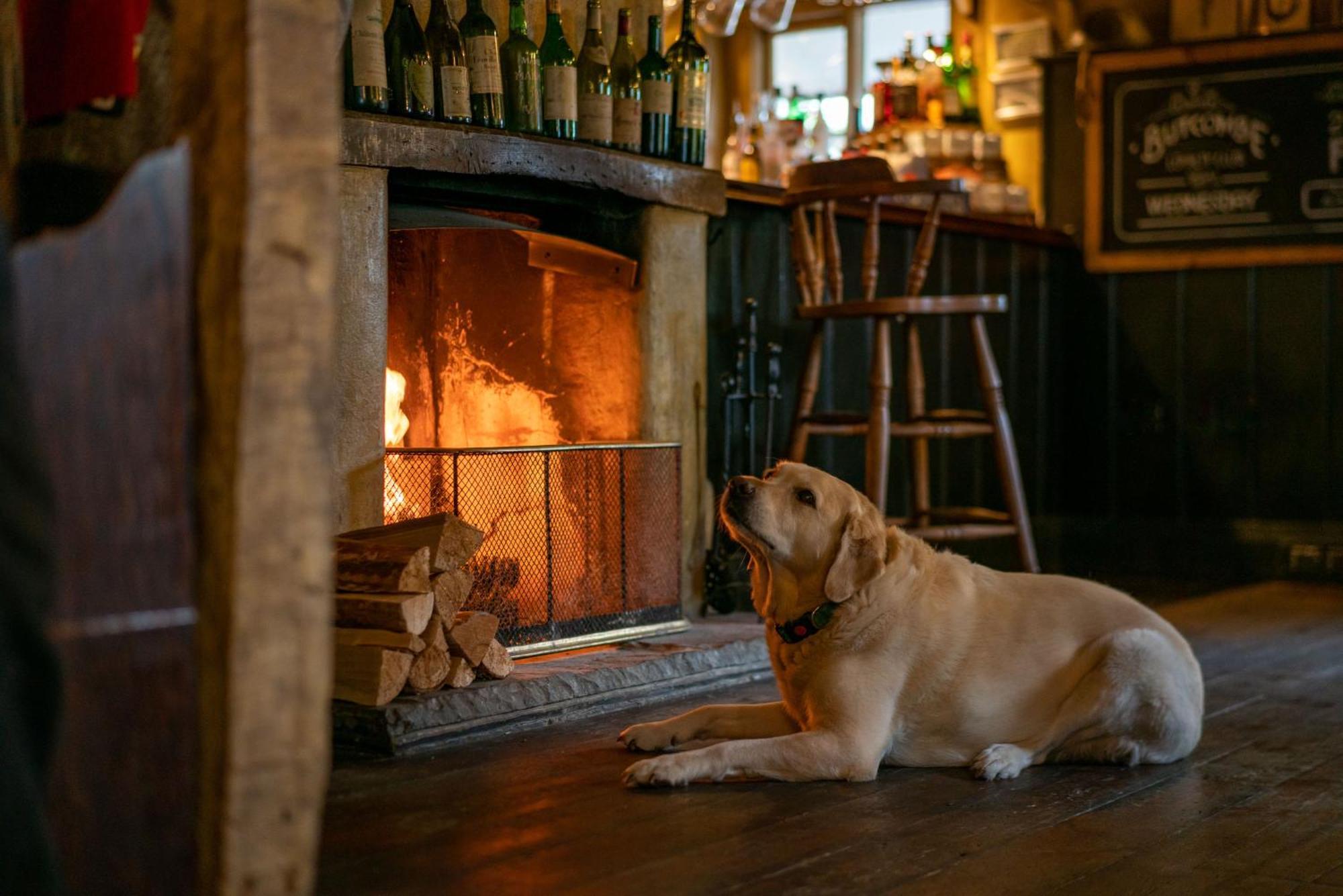 The Anchor Inn Lower Froyle Ngoại thất bức ảnh